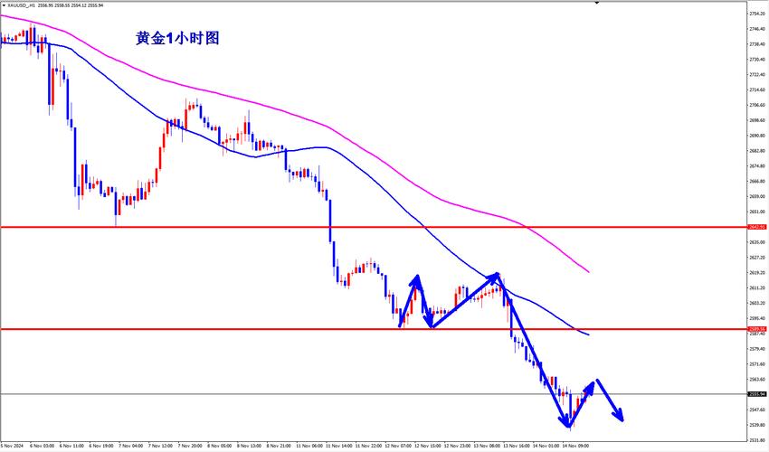 行情规律解析：在绝望中产生，多头不死跌势不止等