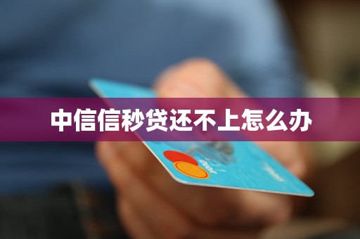 了解中信信秒贷基本信息，无法按时还款该咋办？(图2)