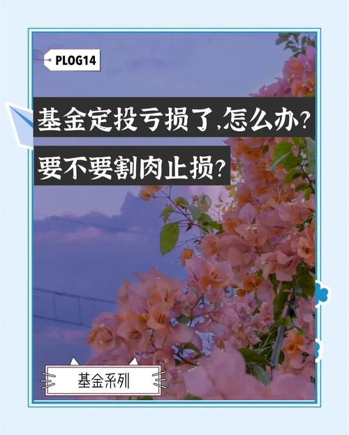 基金定投有亏损风险？大财师兄告诉你是否该止损(图3)