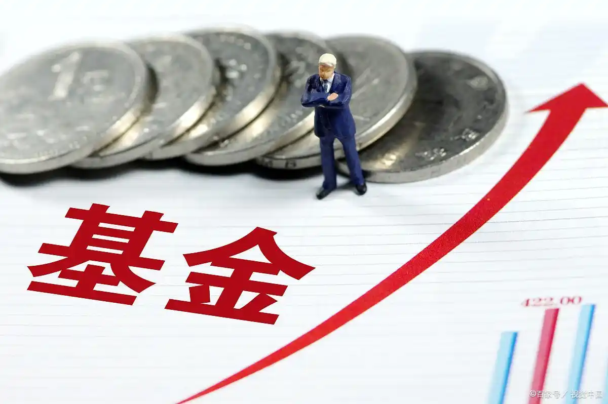 基金定投有亏损风险？大财师兄告诉你是否该止损(图4)