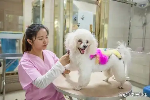 2024年最不起眼的五个行业,能让普通人翻身赚大钱?(图4) 2024年最不起眼的五个行业,能让普通人翻身赚大钱?(图4)