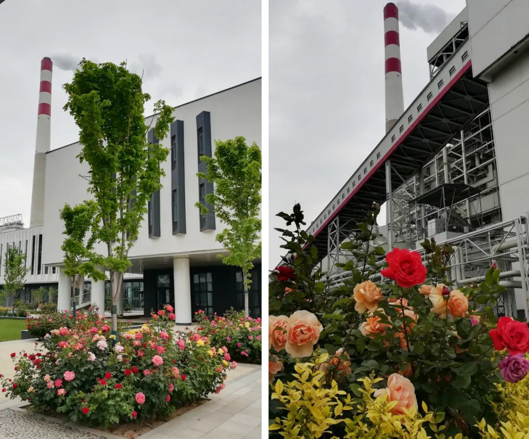 国电电力邯郸东郊热电公司：供热贡献大，全力创建健康企业(图3)