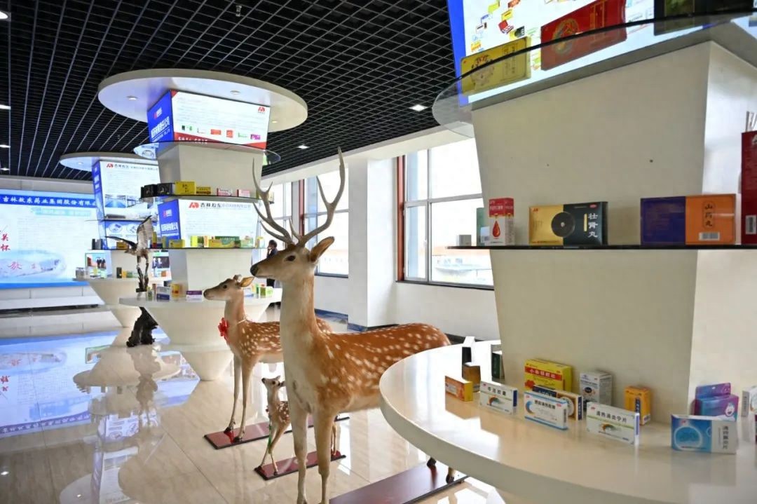 探秘吉林敖东：养鹿与制药奇妙融合，上半年盈利大增