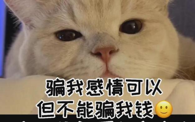 警惕！网上恋人以理财内幕诱骗转账，消失无踪(图2)