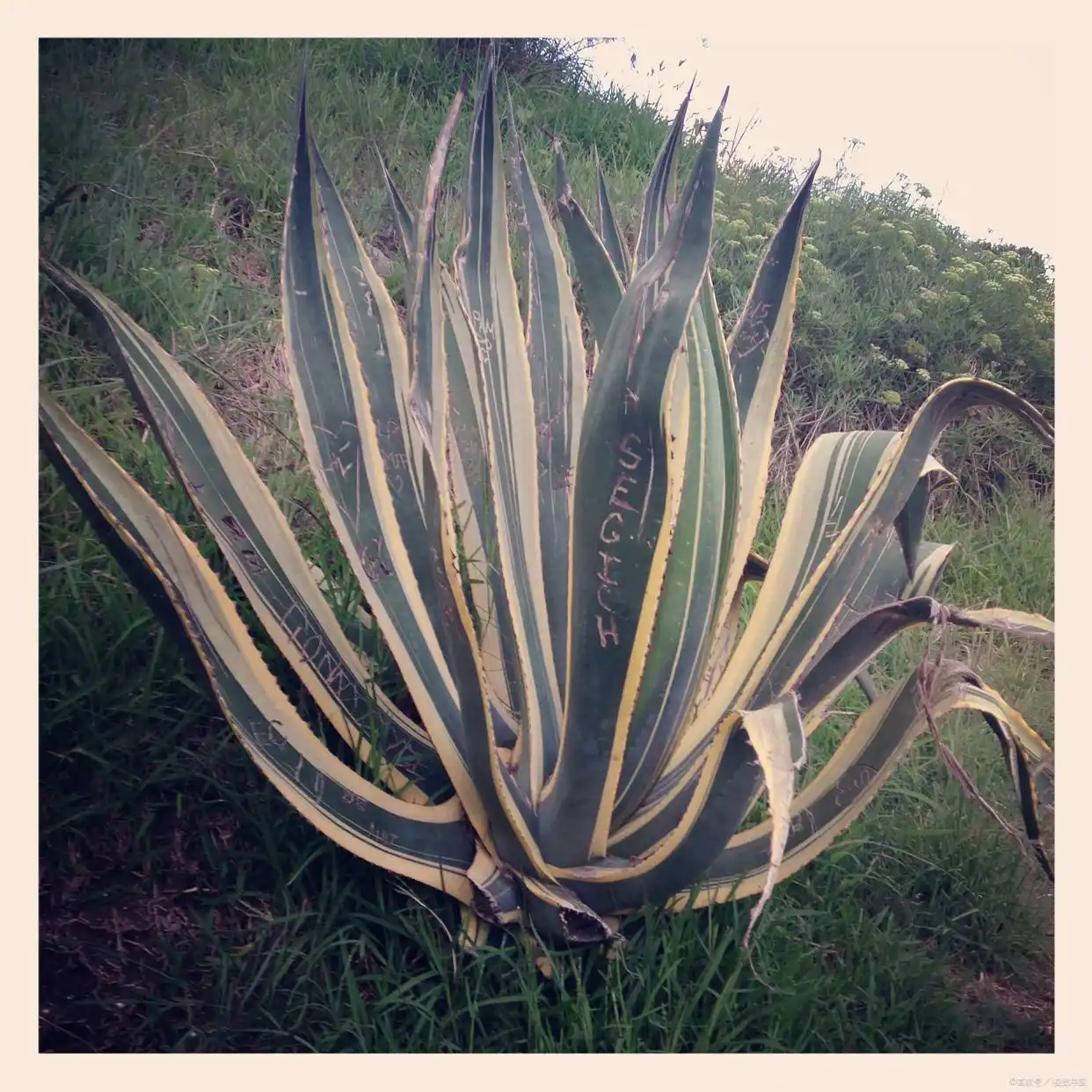 快节奏时代，盘点十个手机赚钱兼职，开启财富新大门(图10)