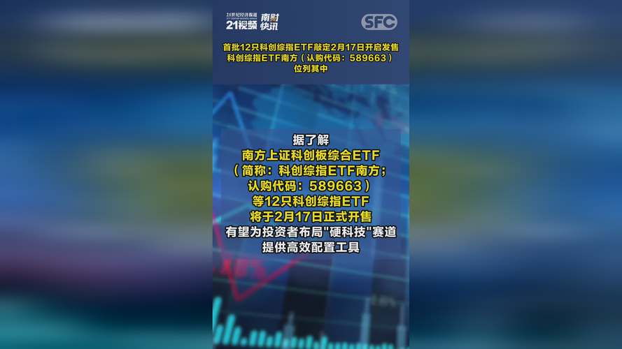 新点软件 688232 将于 11 月 17 日在科创板上市，投资者需审慎决策(图2)