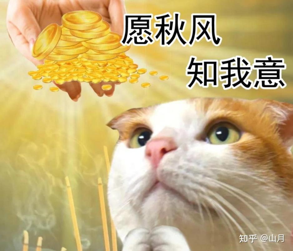 看过无数副业赚钱案例却无从下手？老蕾用30万经验告诉你答案(图6)