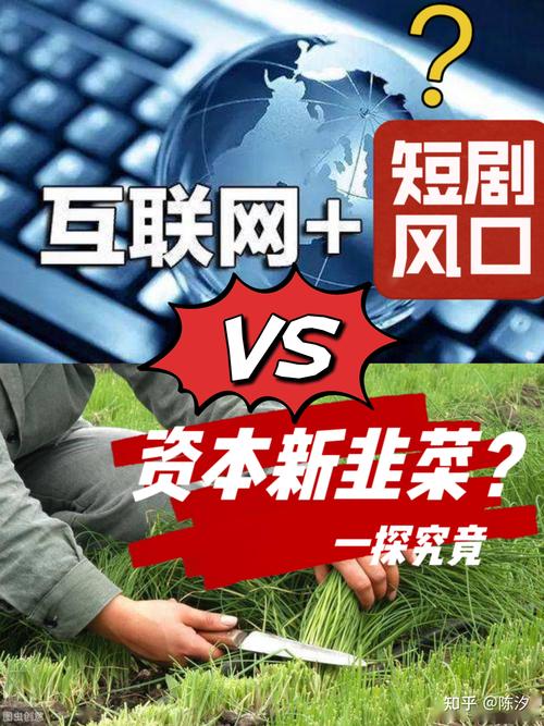 普通人别做自媒体赚钱美梦？卖课程割韭菜才是好项目(图13)