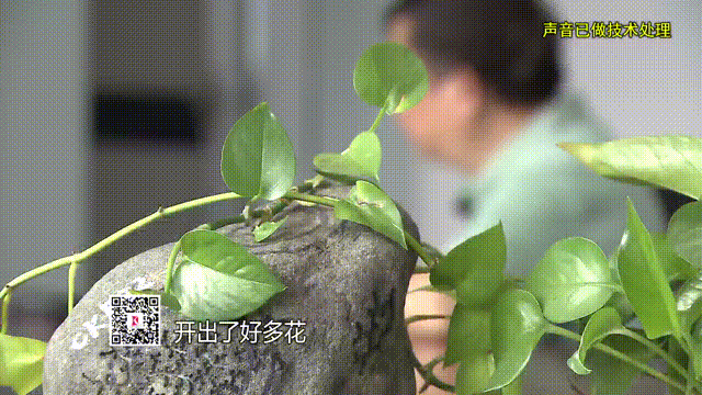 恭喜李老哥喜提翡翠原石?直播间财富神话竟是精心骗局(图3) 恭喜李老哥喜提翡翠原石?直播间财富神话竟是精心骗局(图3)