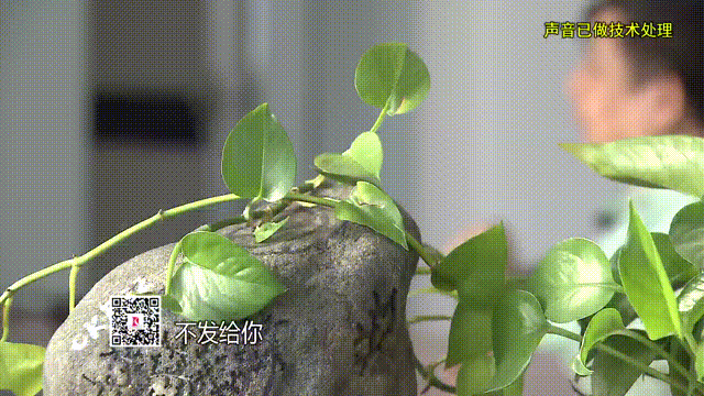 恭喜李老哥喜提翡翠原石?直播间财富神话竟是精心骗局(图6) 恭喜李老哥喜提翡翠原石?直播间财富神话竟是精心骗局(图6)