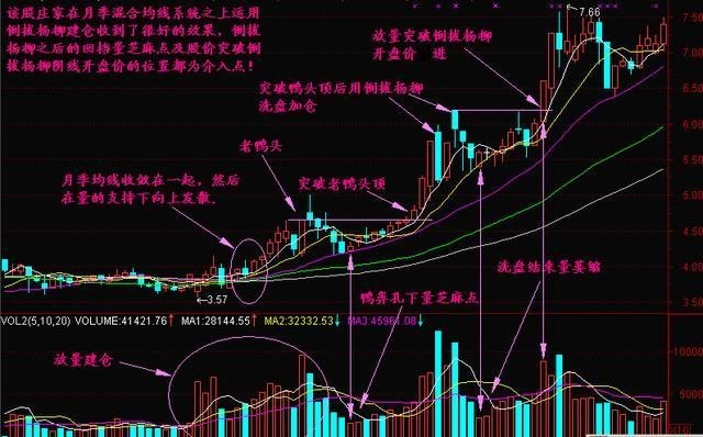 止损乃投资基石，关乎成败！耐心等待时机，远离浮躁炒作(图15)