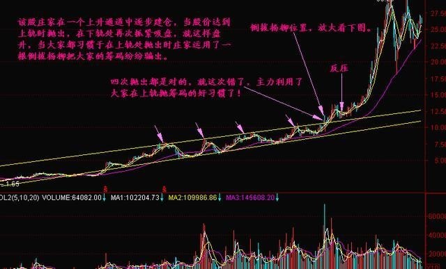 止损乃投资基石，关乎成败！耐心等待时机，远离浮躁炒作(图16)