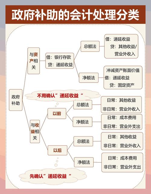 资本性政府预算支出相关内容及政府补助说法正确与否？(图2)