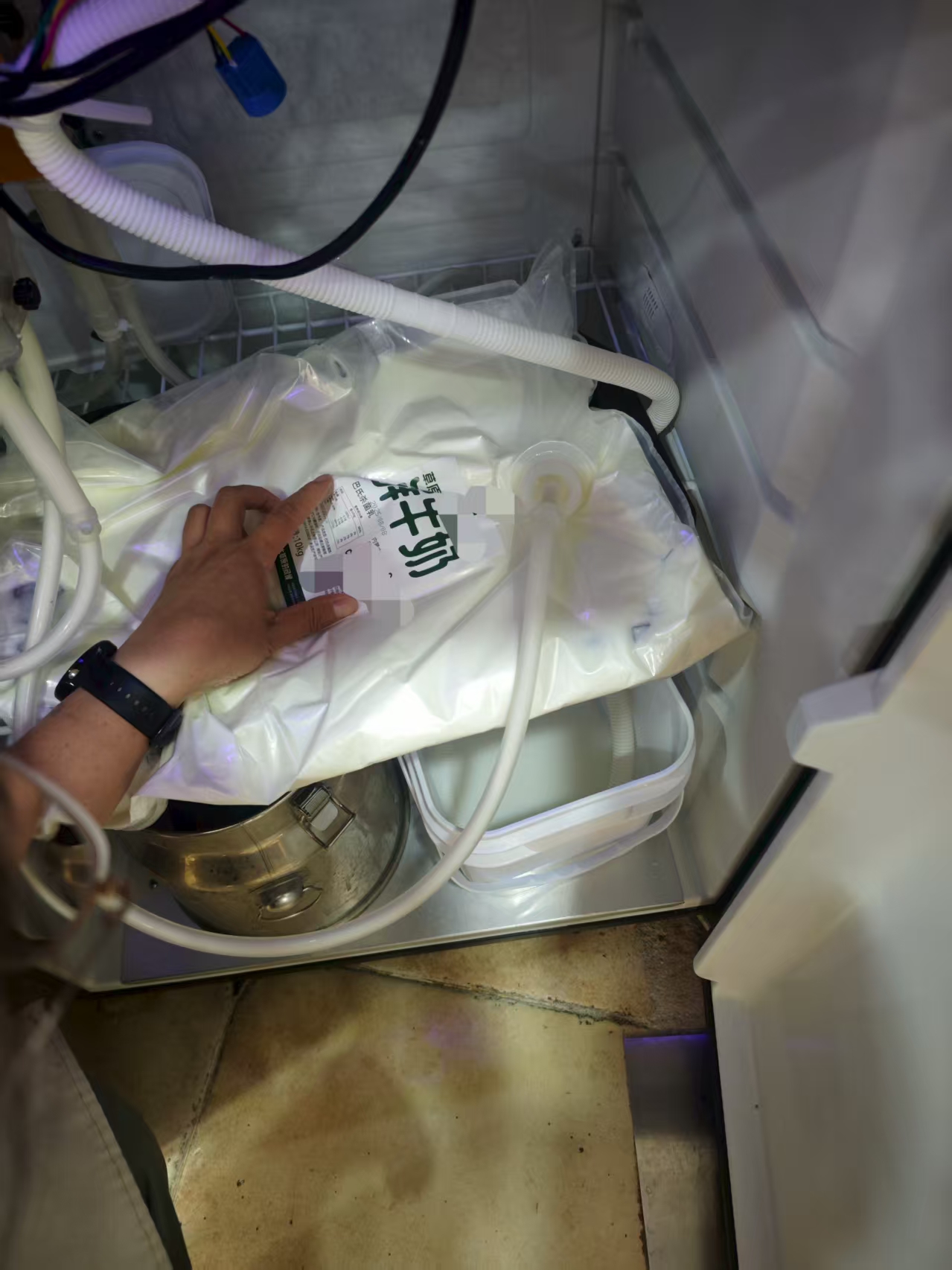 现打鲜奶火了！与超市包装奶有何区别？品质要求几何？(图5)