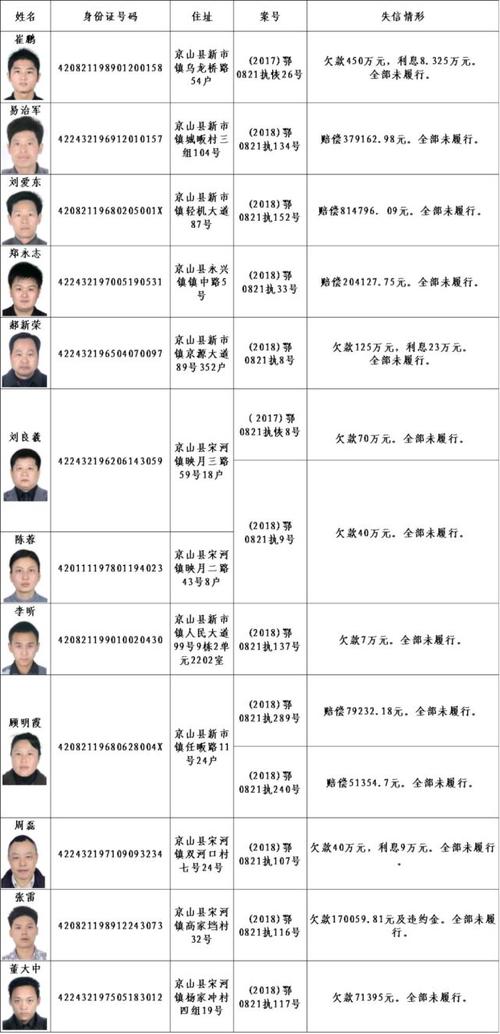 湖北东光电子失信被执行人，法院公告影响几何？企业如何应对信用