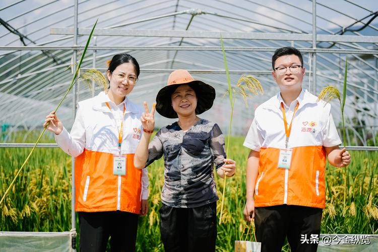 农民种地愁销路怕天灾？银行+保险+期货模式帮大忙(图20)