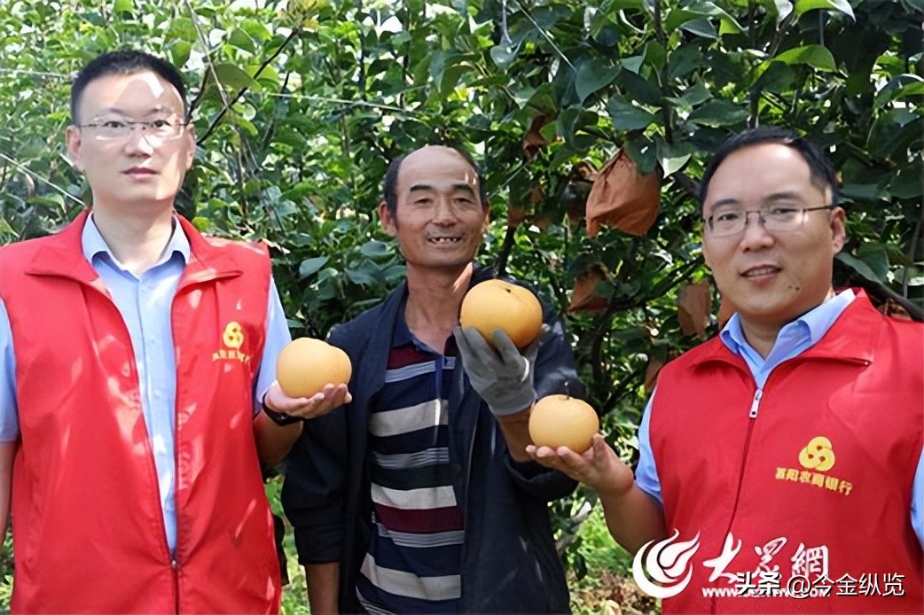 农民种地愁销路怕天灾？银行+保险+期货模式帮大忙(图24)