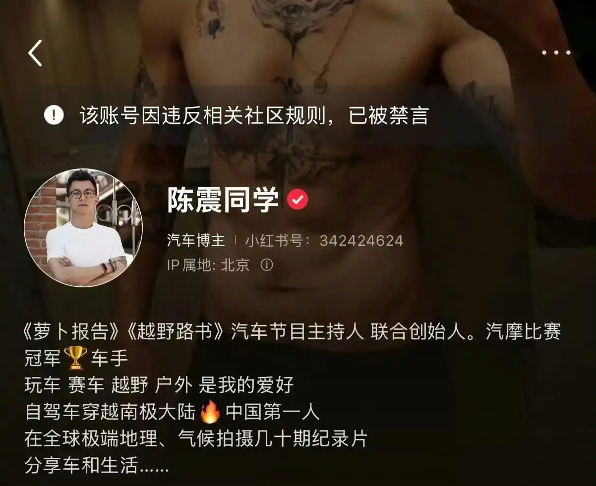 车评人陈震被禁言，他之前靠啥赚钱你知道不？(图3)