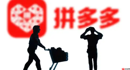 拼多多百亿补贴商品靠谱吗？和旗舰店啥区别？进货凭证是啥？