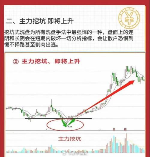 伟星新材股票咋看？淑芬阿姨带你分析，散户速来