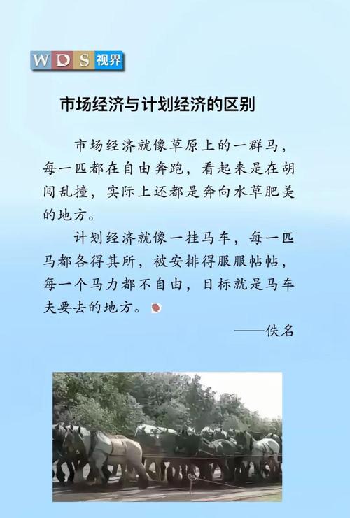 计划经济与市场经济的概念、区别，你真的了解吗？(图2)