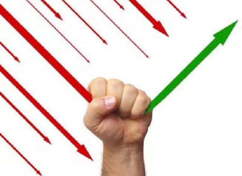 三季度券商重仓股集中在创业板和科创板，两只新股表现迥异