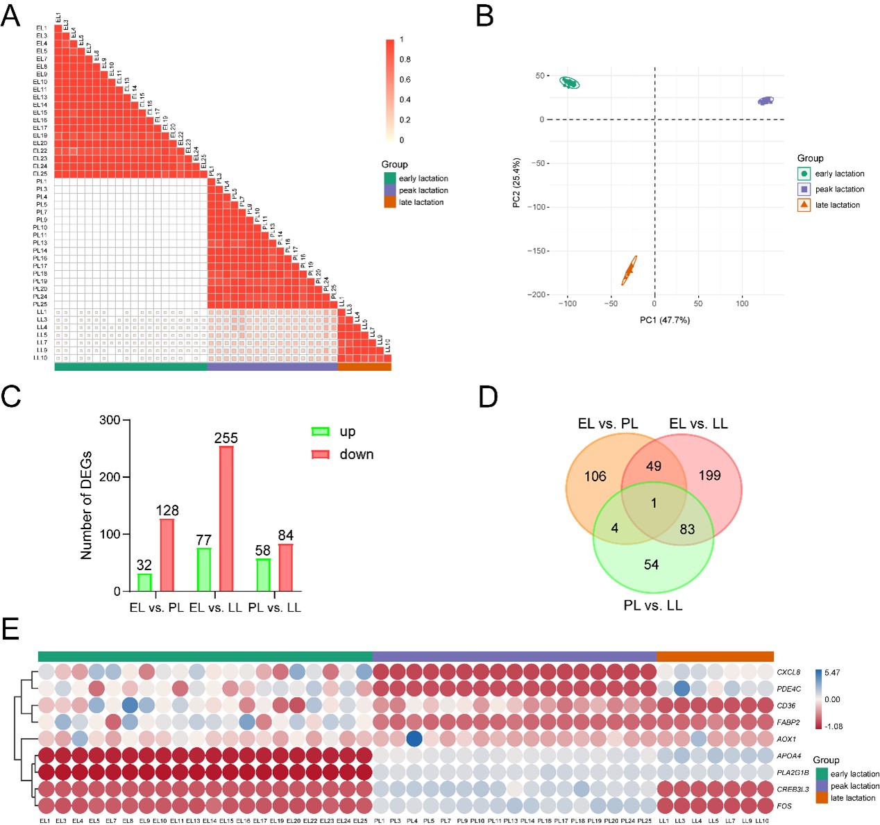 动物科学团队揭示奶牛泌乳性状机制,聚焦泌乳曲线关键期(图3) 动物科学团队揭示奶牛泌乳性状机制,聚焦泌乳曲线关键期(图3)