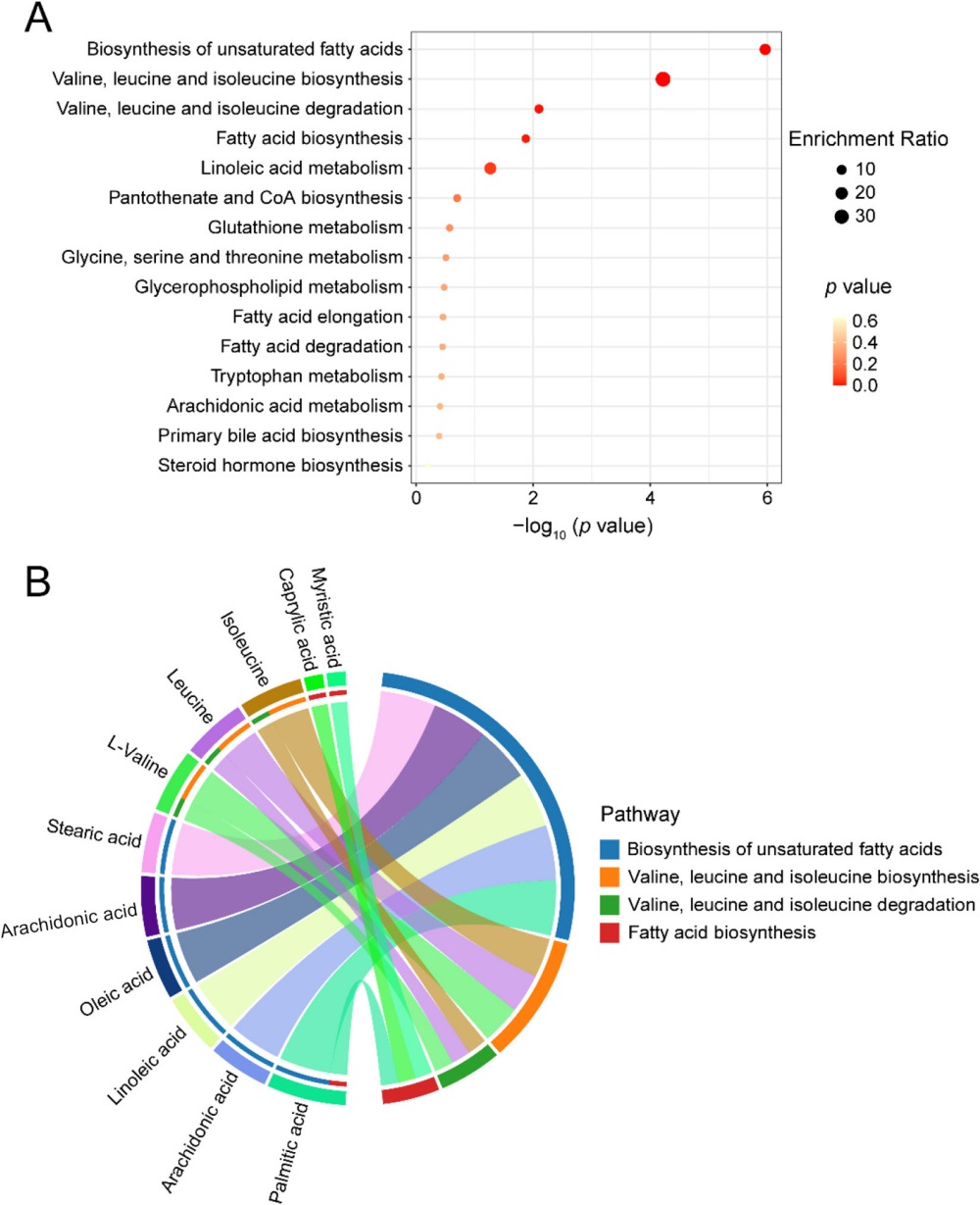 聚焦奶牛泌乳曲线关键期，解析分子响应过程(图3)