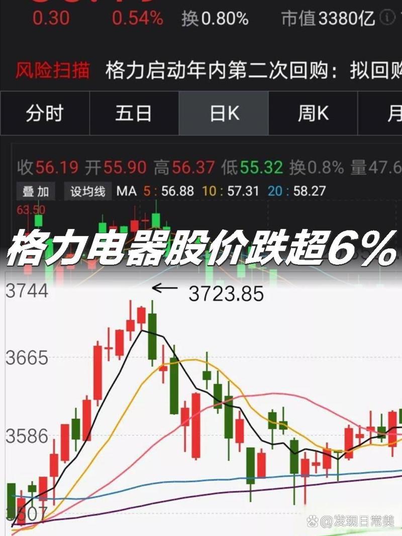 格力电器股票涨跌与我说啥无关，关键看他人操作(图4)