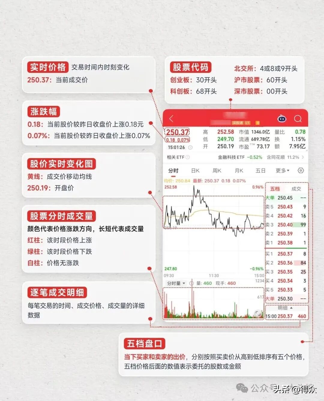 炒股入门七大知识科普！含涨跌原理、分时界面等内容可下载(图10)