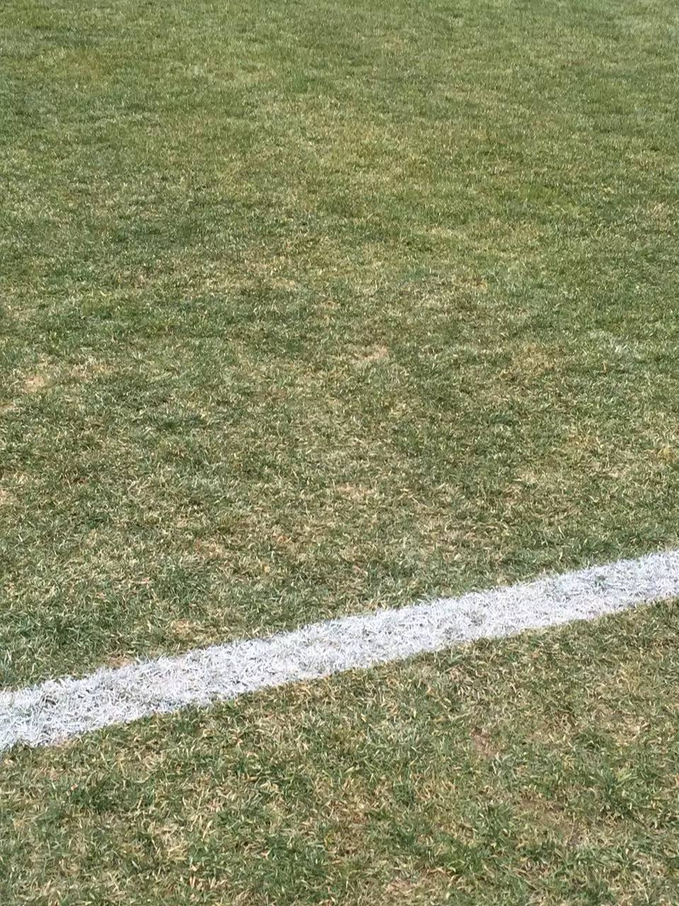 泰达主场比赛明日打响!球迷用品店啥样?投资要多少?(图2) 泰达主场比赛明日打响!球迷用品店啥样?投资要多少?(图2)