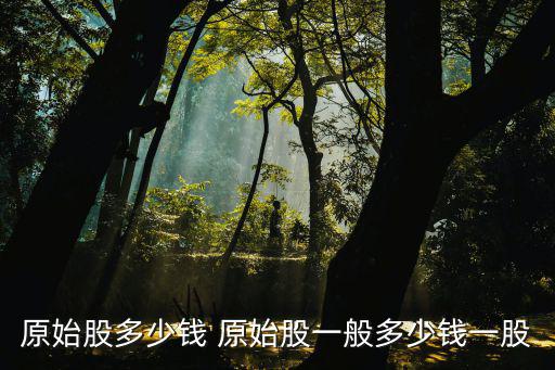 原始股价格一般是多少？一文带你了解原始股价格规则(图2)