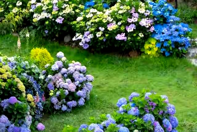 赚钱不难!大学生及普通人轻松搞钱的N种实用方法(图2) 赚钱不难!大学生及普通人轻松搞钱的N种实用方法(图2)