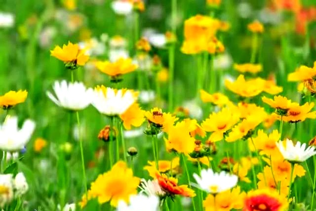 赚钱不难!大学生及普通人轻松搞钱的N种实用方法(图5) 赚钱不难!大学生及普通人轻松搞钱的N种实用方法(图5)