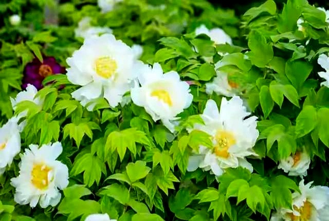 赚钱不难!大学生及普通人轻松搞钱的N种实用方法(图6) 赚钱不难!大学生及普通人轻松搞钱的N种实用方法(图6)