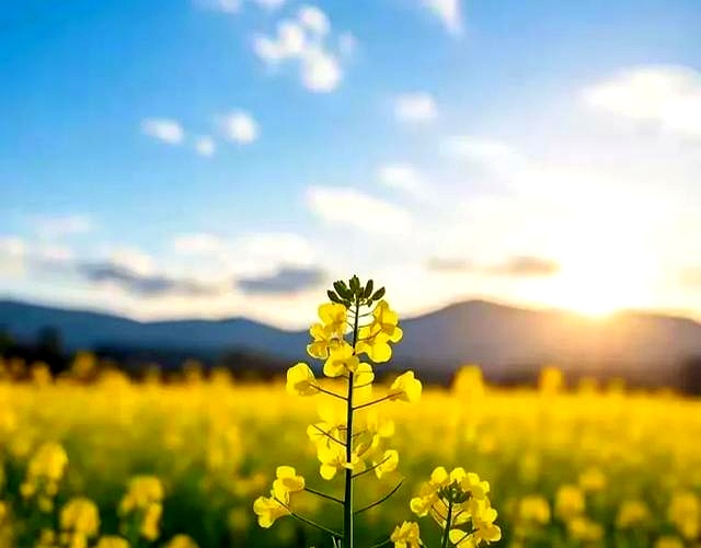 赚钱不难!大学生及普通人轻松搞钱的N种实用方法(图8) 赚钱不难!大学生及普通人轻松搞钱的N种实用方法(图8)