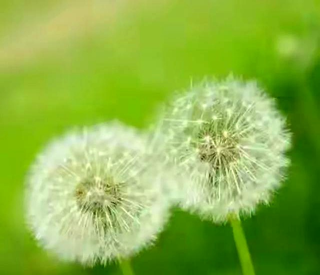 赚钱不难!大学生及普通人轻松搞钱的N种实用方法(图9) 赚钱不难!大学生及普通人轻松搞钱的N种实用方法(图9)