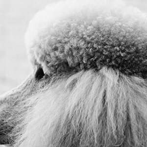 小赢卡贷是骗局吗?律师提醒:先查平台资质防套路贷(图17) 小赢卡贷是骗局吗?律师提醒:先查平台资质防套路贷(图17)